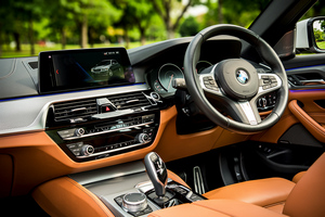 Mietwagen BMW 530e M Sport(19-23) - Foto 10