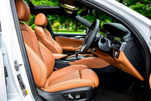 Mietwagen BMW 530e M Sport(19-23) - Foto 11